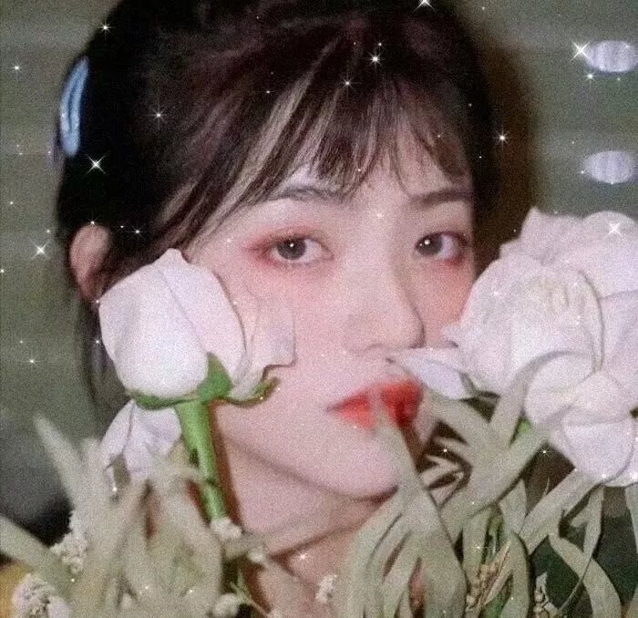 铁石心肠2019